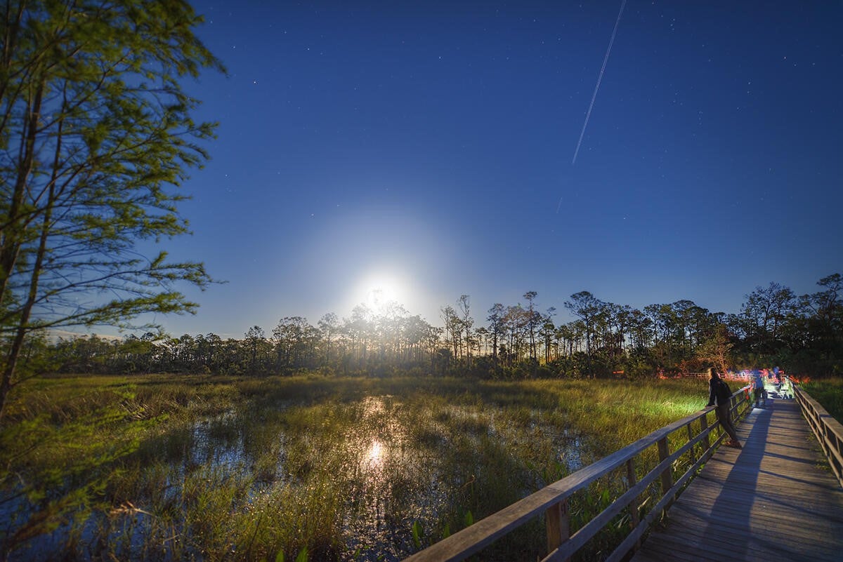 Moonlight on the boardwalk